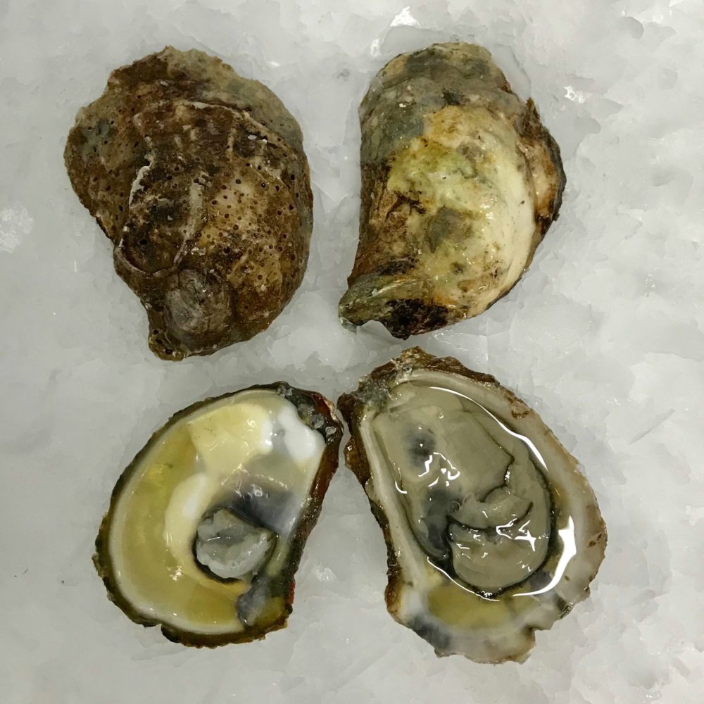 February Oysters - What Chefs Want!